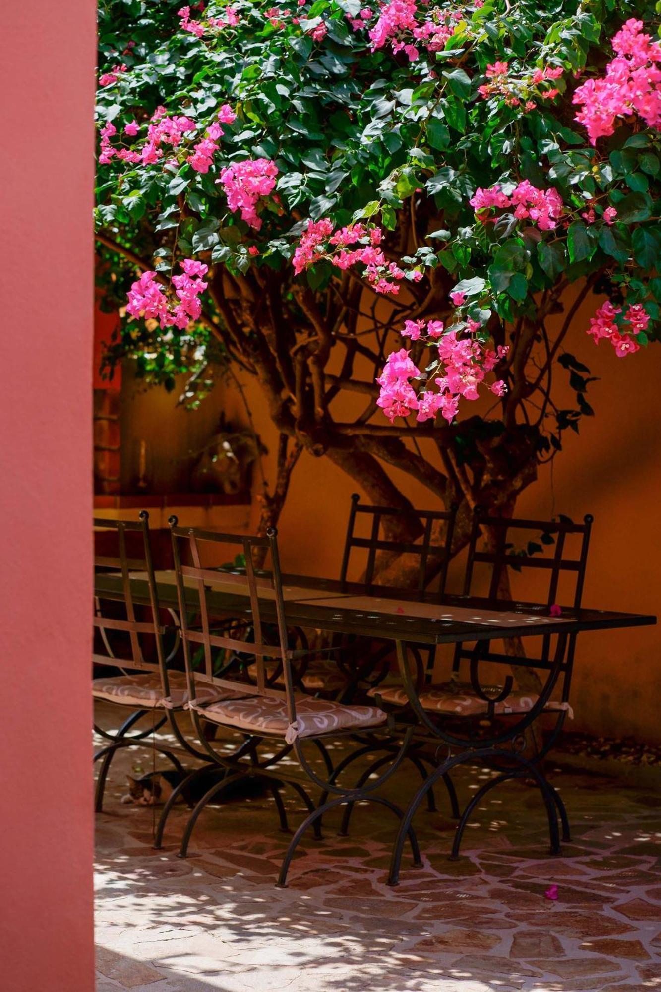 Il Piccolo Giardino Rooms & Breakfast Villasimius Eksteriør bilde